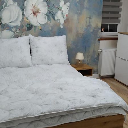 Apartamenty U Iwony Centrum Miasta Blisko Parku Zdrojowego Кудова-Здруй Экстерьер фото
