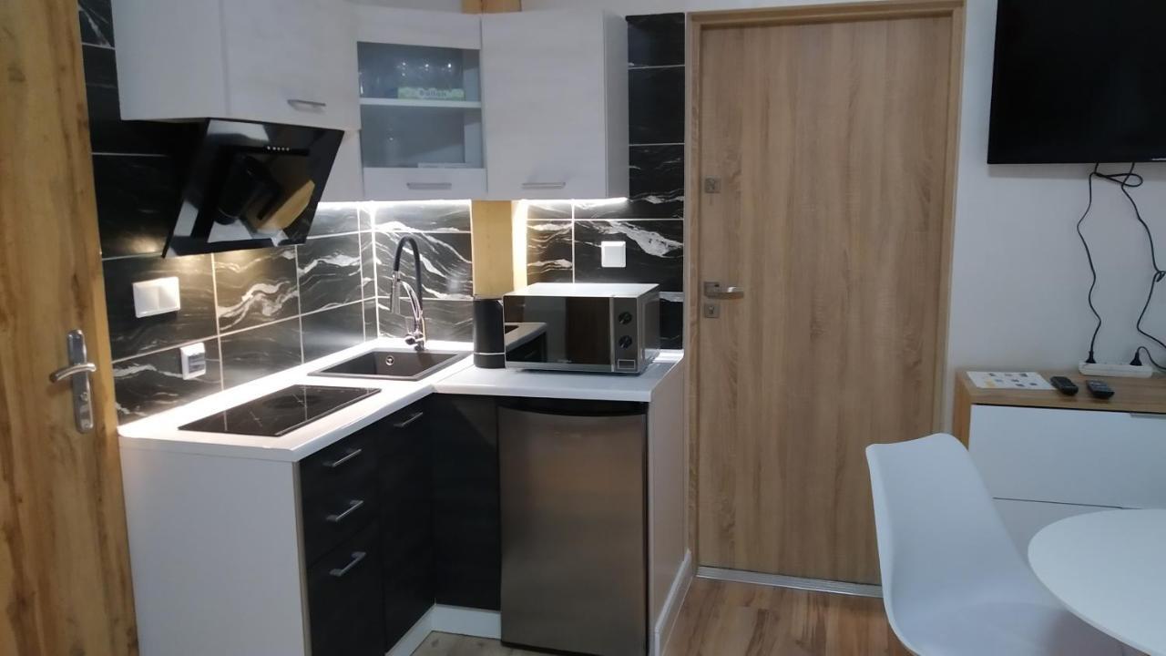 Apartamenty U Iwony Centrum Miasta Blisko Parku Zdrojowego Кудова-Здруй Экстерьер фото