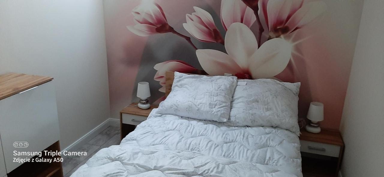 Apartamenty U Iwony Centrum Miasta Blisko Parku Zdrojowego Кудова-Здруй Экстерьер фото
