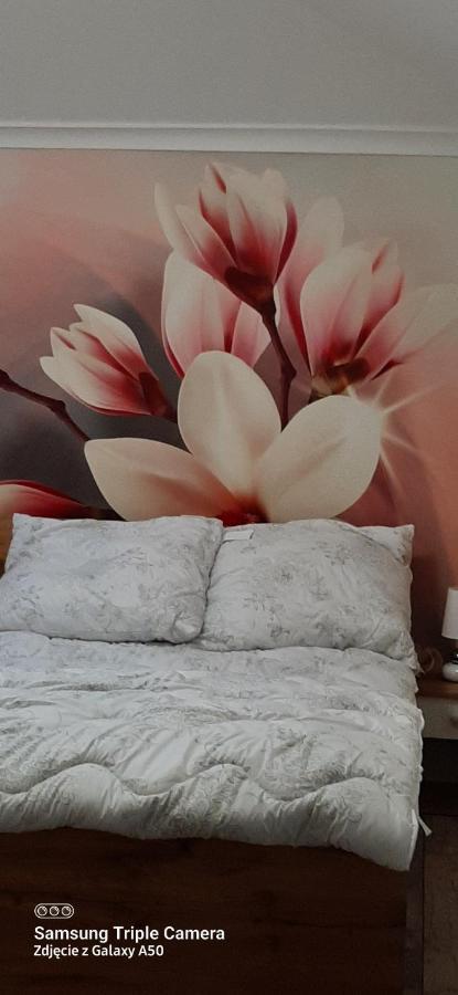 Apartamenty U Iwony Centrum Miasta Blisko Parku Zdrojowego Кудова-Здруй Экстерьер фото